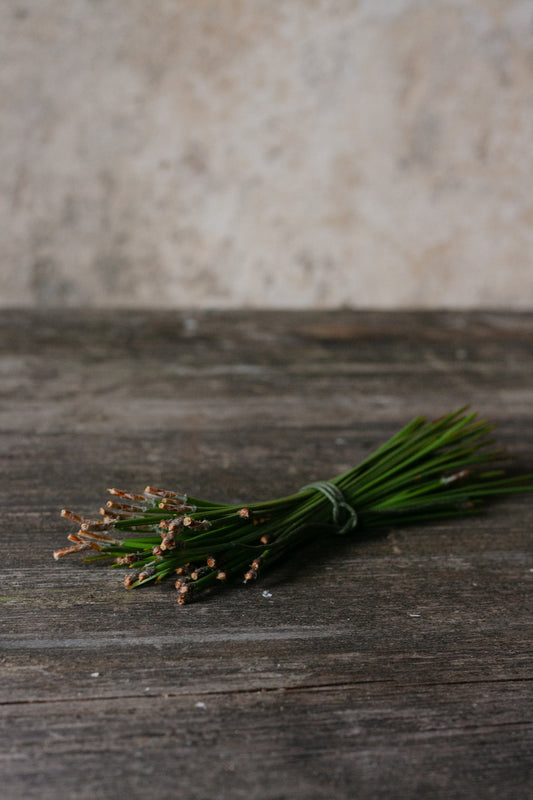 "eine Hand voll" Piniennadeln frisch