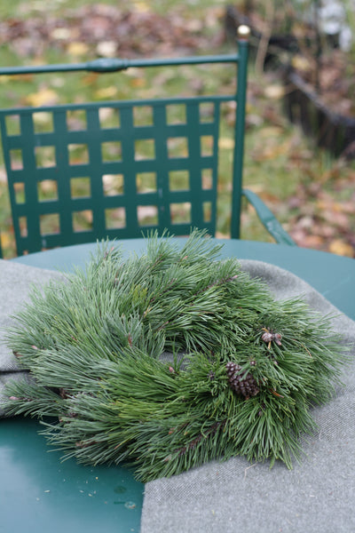 VORBESTELLUNG // handgebundener, klassischer Adventskranz pur aus Bergkiefer, ohne Kerzen und Deko