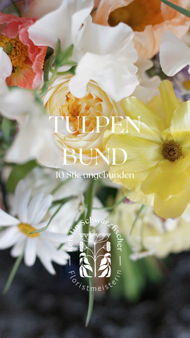 Tulpenbund 10 Stk. gefüllte Tulpen ungebunden // Abholung am Samstag 19.4.25